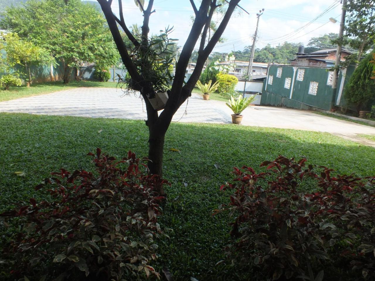 Hillsview Rest & Guest House Matale Exterior foto